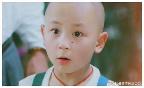 五个光头的少年,光头少年们的青春传奇