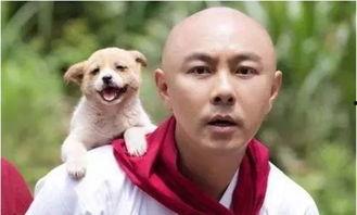 五个光头的少年,光头少年们的青春传奇