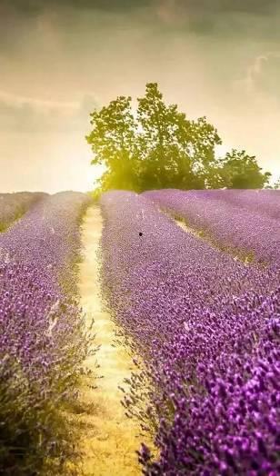 风浅怎及爱深沉,风轻云淡难及爱意深沉