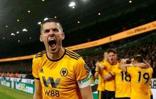 23-24赛季英超第20轮：狼队vs埃弗顿,激战正酣，谁将笑到最后？