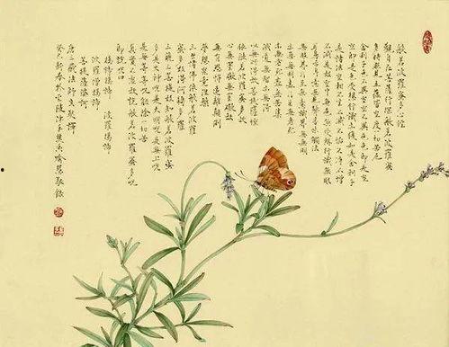 妄折枝,探寻梦境与现实交织的奇幻之旅