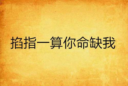 家主你命里缺我