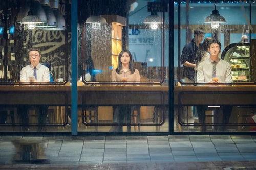 我的解放日志,记录奋斗历程，见证成长蜕变