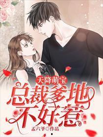 天降三宝，总裁老公坏又甜,总裁老公的甜蜜宠爱记