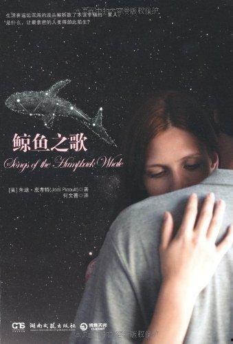 鲸之歌,探寻海洋巨兽的神秘旋律与传奇故事