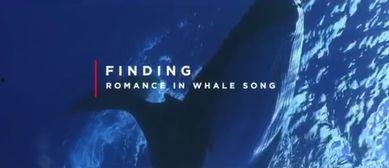 鲸之歌,探寻海洋巨兽的神秘旋律与传奇故事