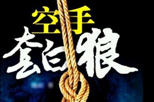 重生八九空手套白狼