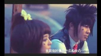 完全家族,完全家族的辉煌历程与未来展望