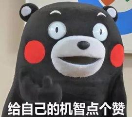 崽崽被欺负，顶级大佬们坐不住啦