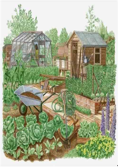 我的双眼能透视万物,双眼见证的神奇世界